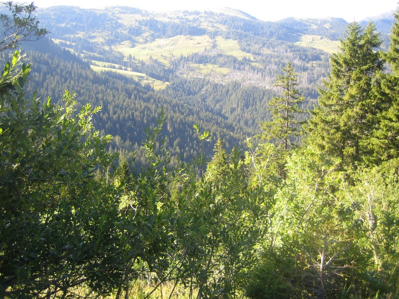 Glaubenbüelpass